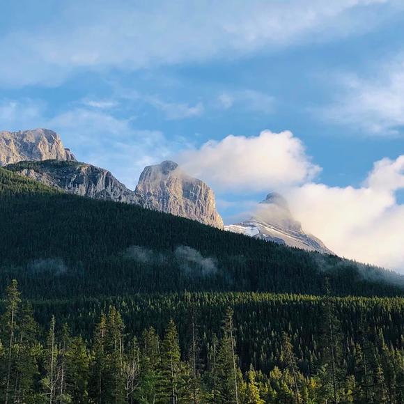 Meet your Posher, Luba - Picture 1 of 1